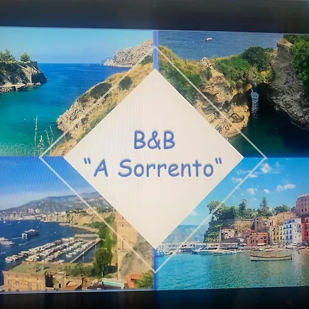 ベッド・アンド・ブレックファスト A B&b,relaxing Location With Seaview